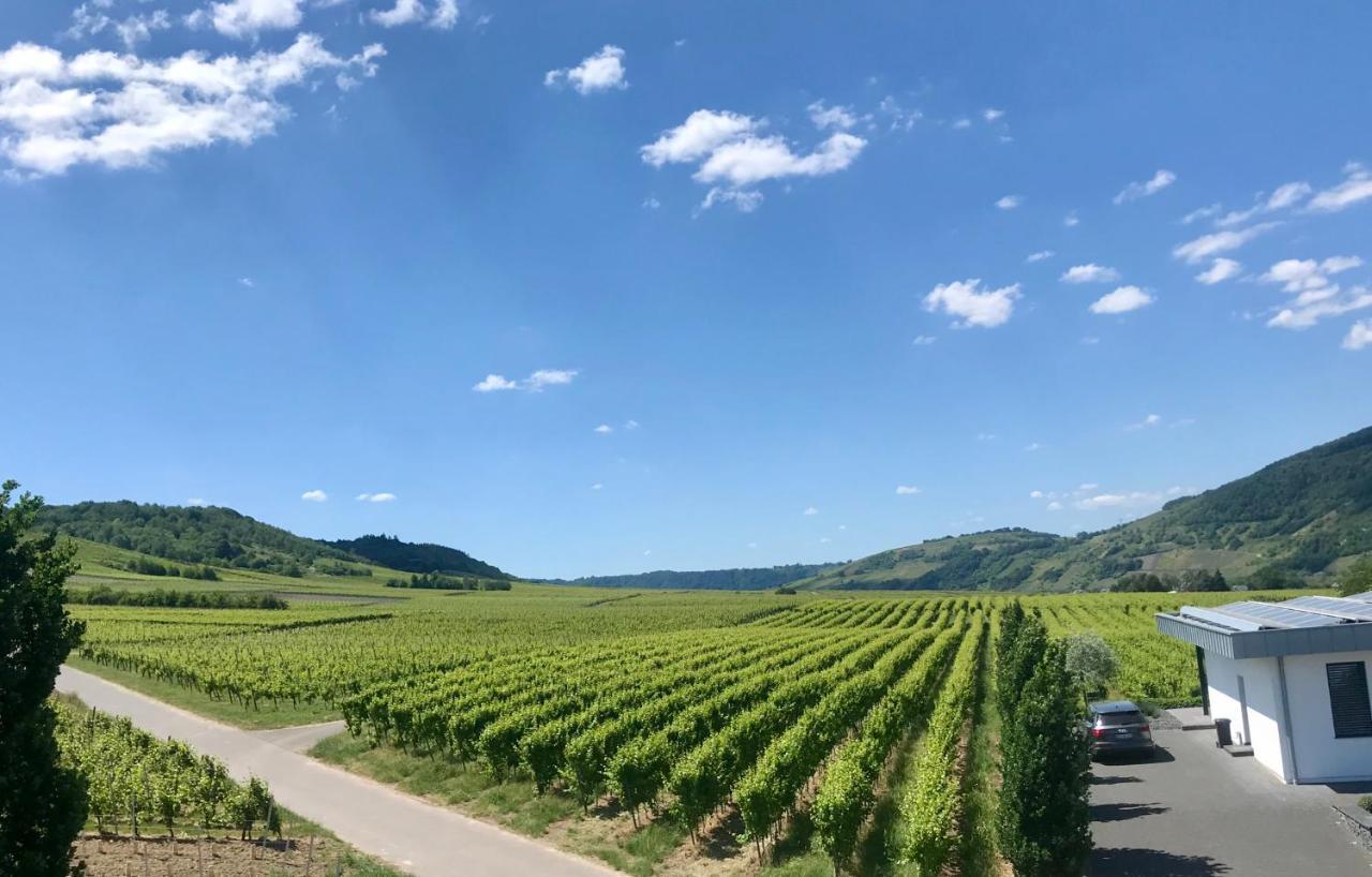 Weingut Gehlen-Cornelius Hotel Brauneberg Ngoại thất bức ảnh