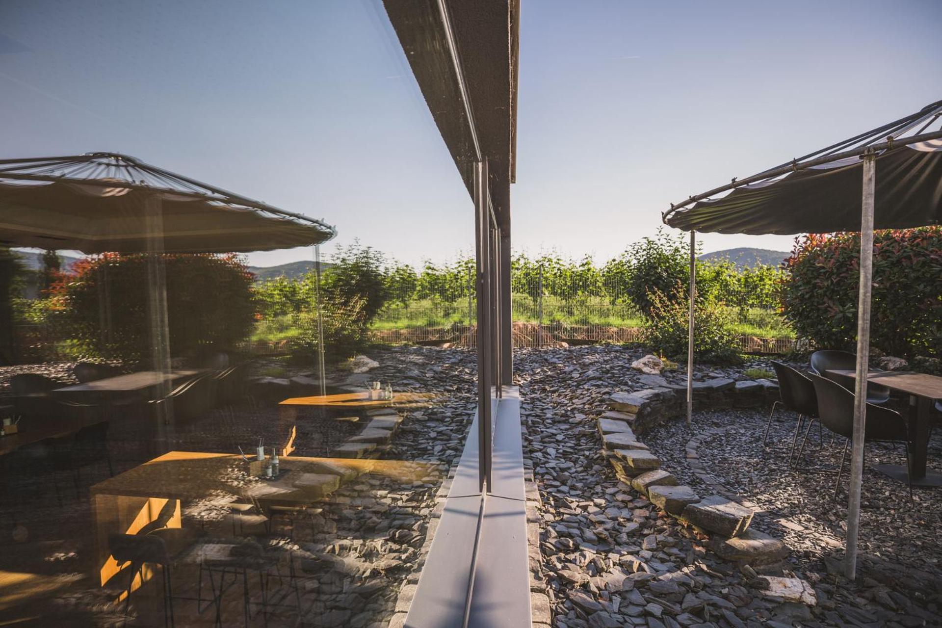 Weingut Gehlen-Cornelius Hotel Brauneberg Ngoại thất bức ảnh